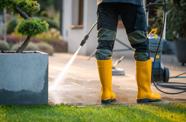 Best Affordable Pressure Washing  in Mattawan, MI